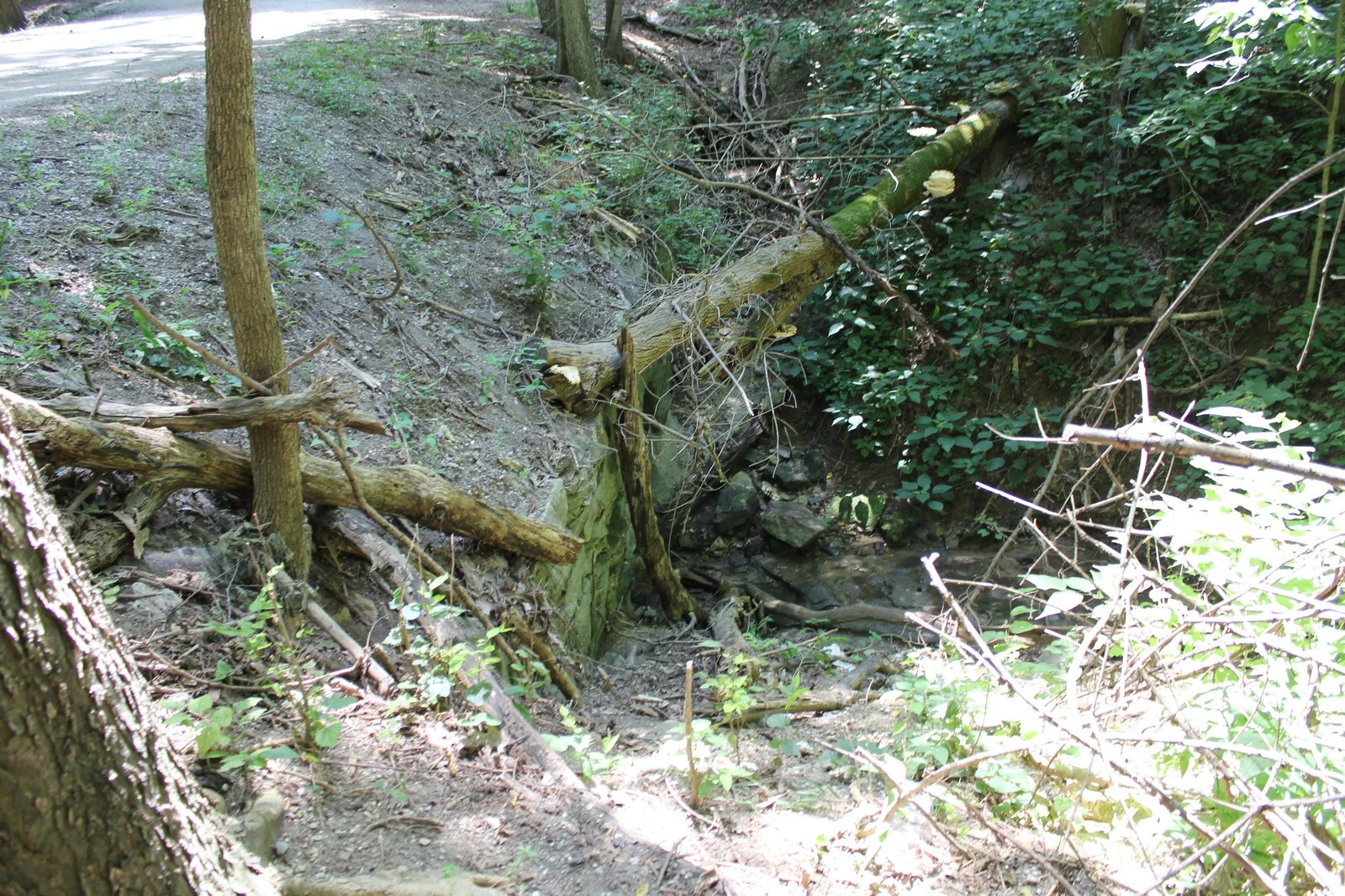 Stone culvert near bridge
